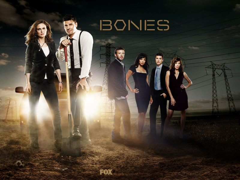 Illustration for article titled I'm going to start watching 'Bones'